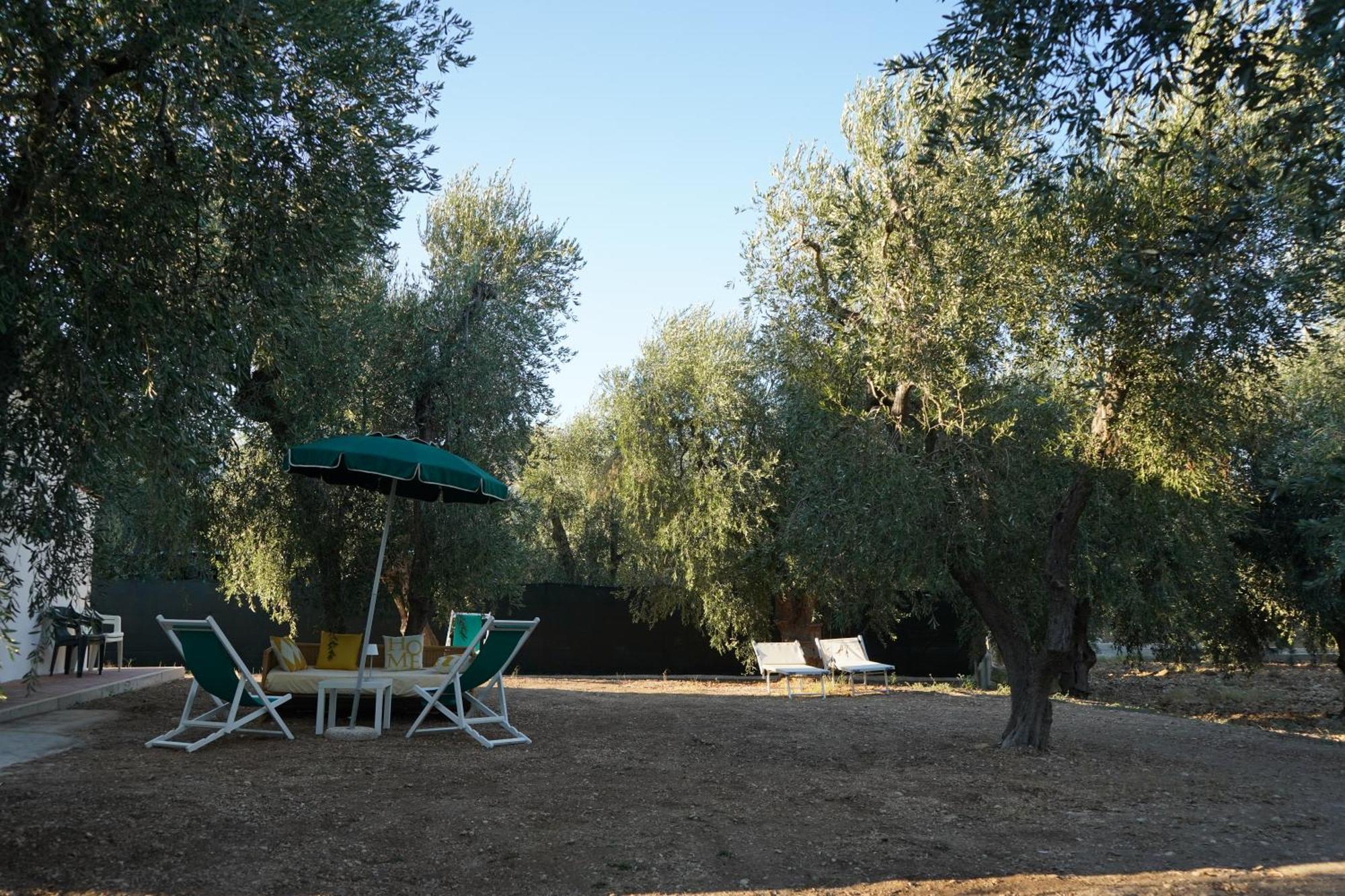 Olive&Sea Villa-Olive Mattinata Exterior photo
