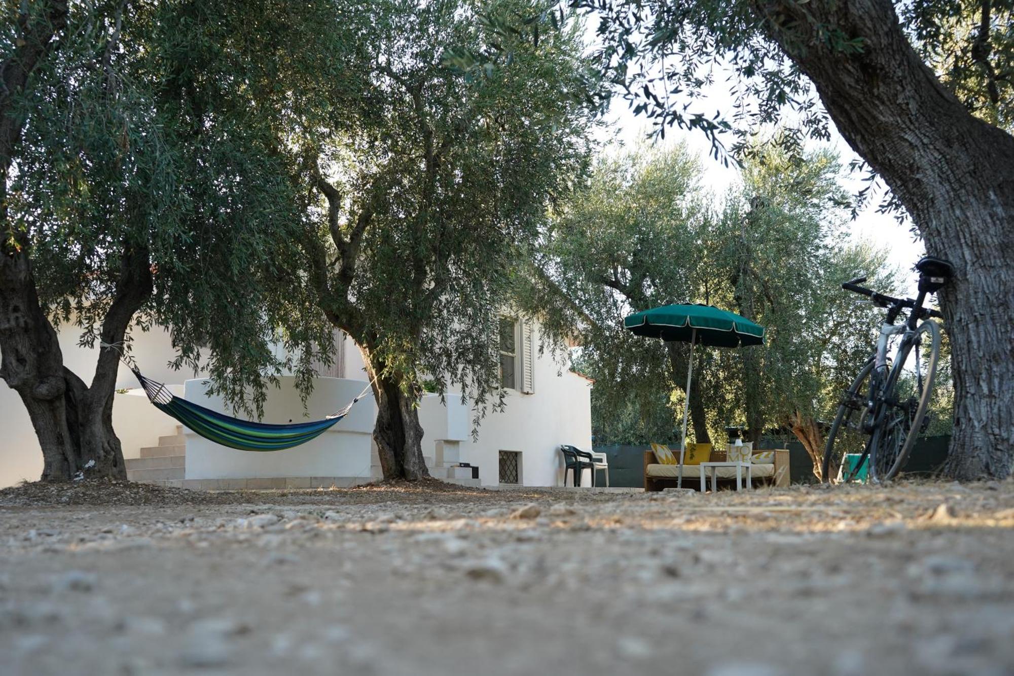 Olive&Sea Villa-Olive Mattinata Exterior photo