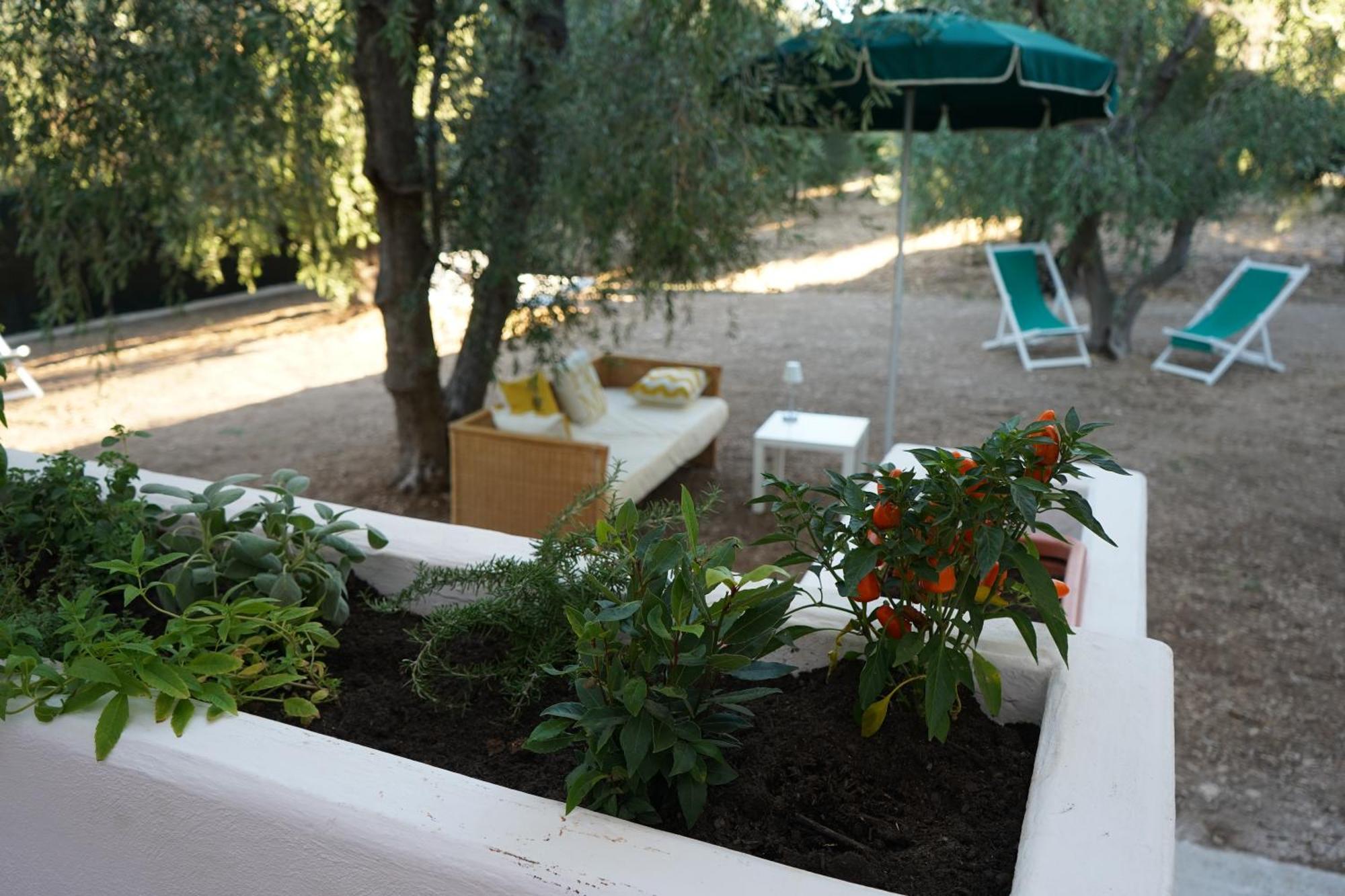 Olive&Sea Villa-Olive Mattinata Exterior photo