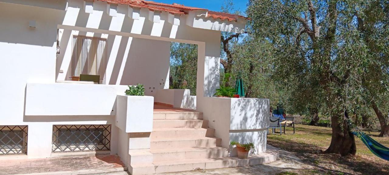 Olive&Sea Villa-Olive Mattinata Exterior photo