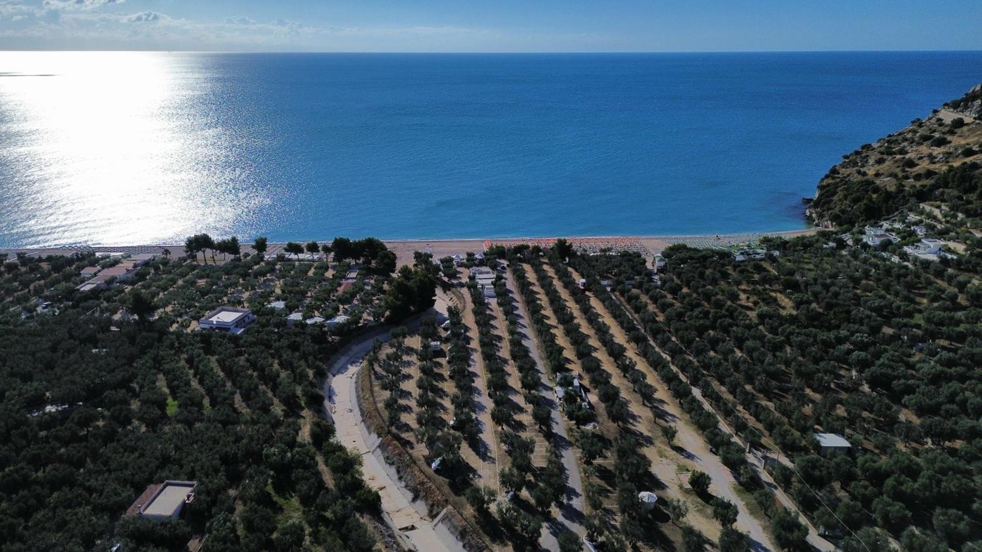 Olive&Sea Villa-Olive Mattinata Exterior photo