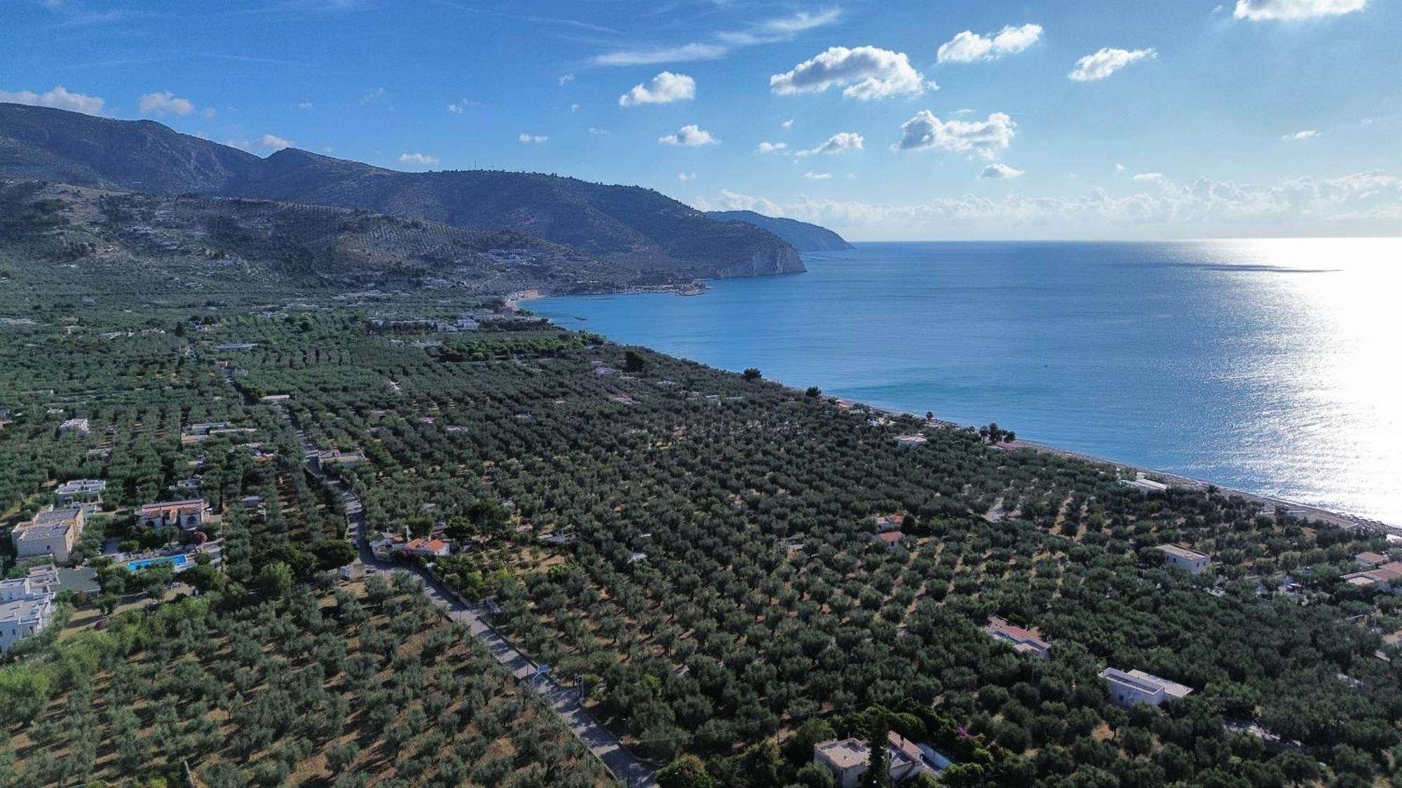 Olive&Sea Villa-Olive Mattinata Exterior photo